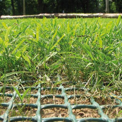 Zuhause & Garten