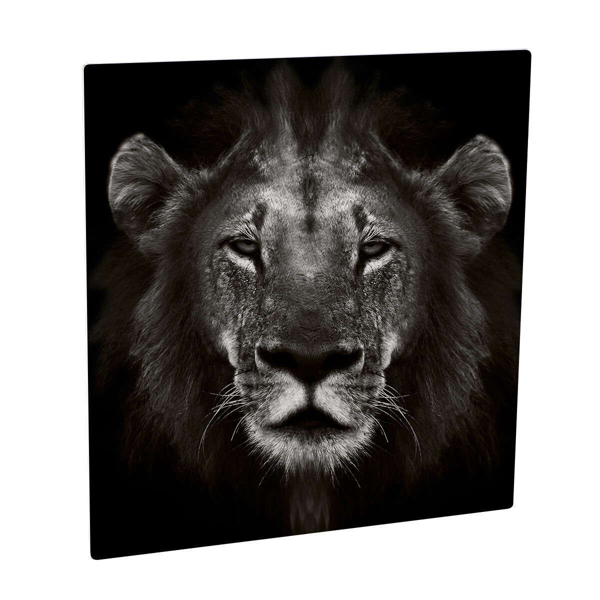Chromaluxe Blanc Mat 50X50
