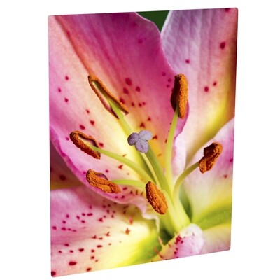 Chromaluxe Blanc Mat 15X20