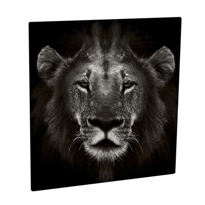 Chromaluxe Blanc Mat 15X15