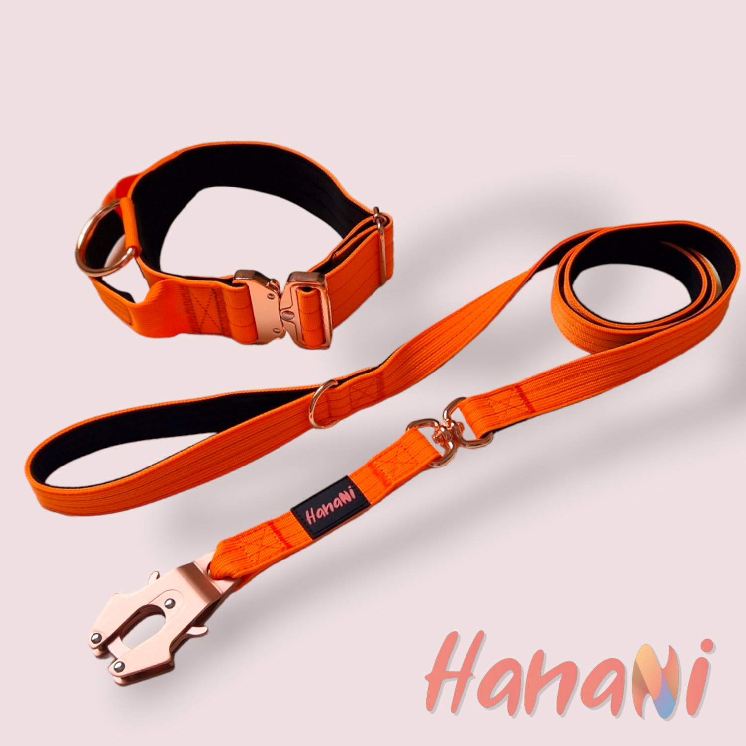 Tactical set Collar + Leash