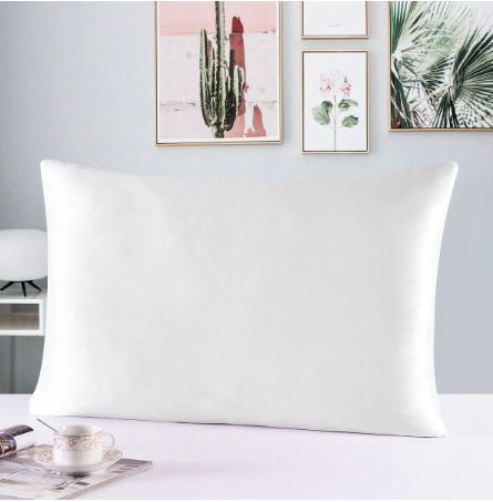 Multicolor 100% Natural Mulberry Silk Pillow case