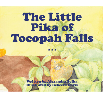The Little Pika of Tocopah Falls