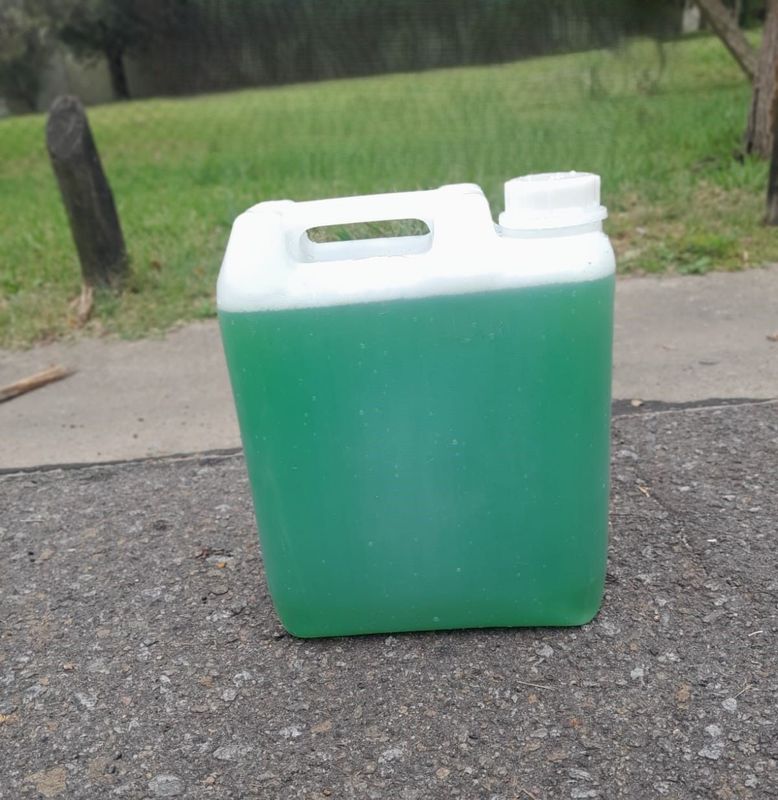 Alguicida x 10 litros