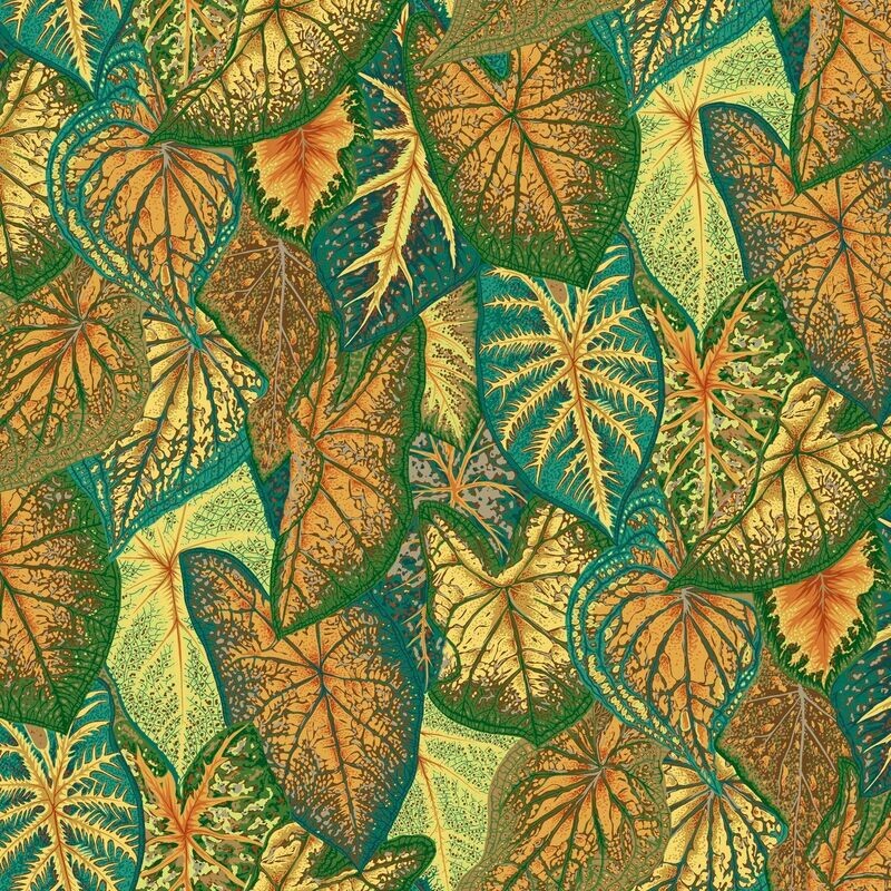 Philip Jacobs - Caladiums August 2021