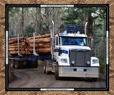 Burrangong Creek Trucking Co. - Logging Truck