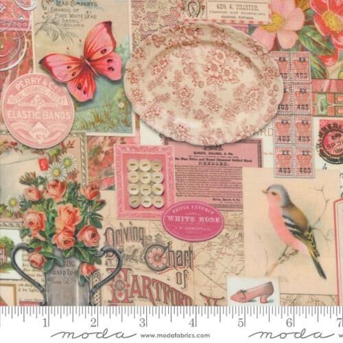 Curated in Colour by Cathe Holden