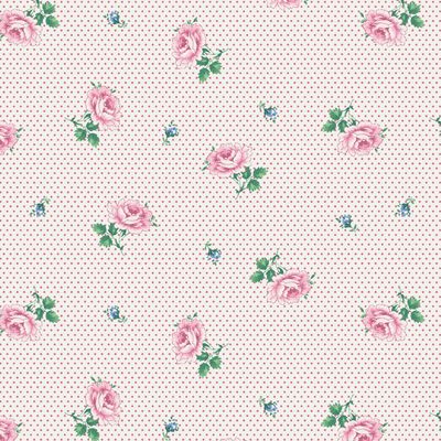 Chiara Rose - Amy 2 Chiara Rose - Amy 2