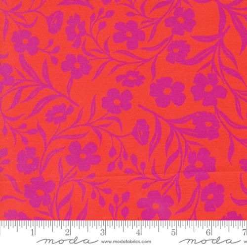 Maeve - Tansy Mandarin