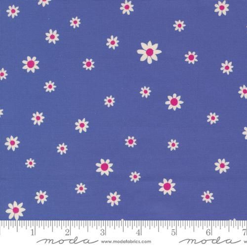 Maeve - Daisy Dot Periwinkle
