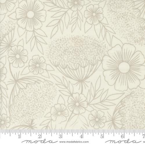 Field of Flowers - Queen Annes Lace