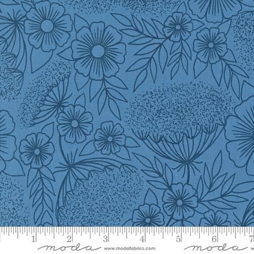 Field of Flowers - Queen Annes Lace