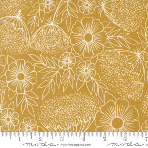 Field of Flowers - Queen Annes Lace