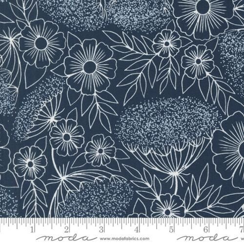 Field of Flowers - Queen Annes Lace