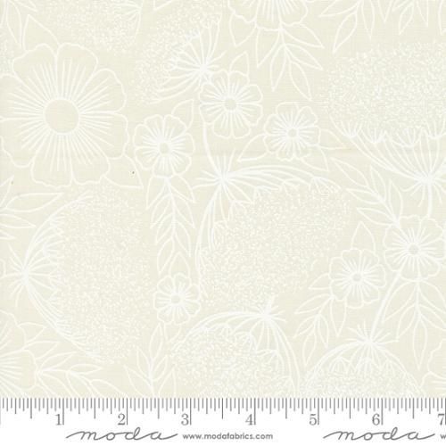 Field of Flowers - Queen Annes Lace
