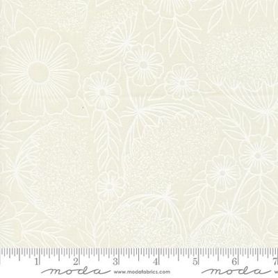 Field of Flowers - Queen Annes Lace
