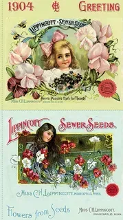 Sewing Seeds III - Pillow Sham Panel Sewing Seeds III - Pillow Sham Panel