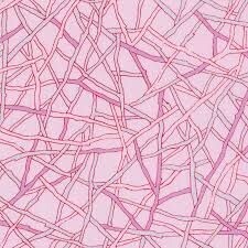 Twiggy - Seeds & Stems