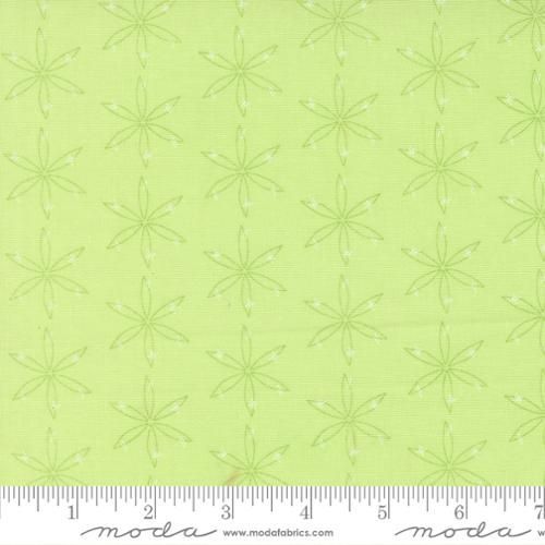 Honeyed Horizons - Star Specked Blenders - Honey Dew