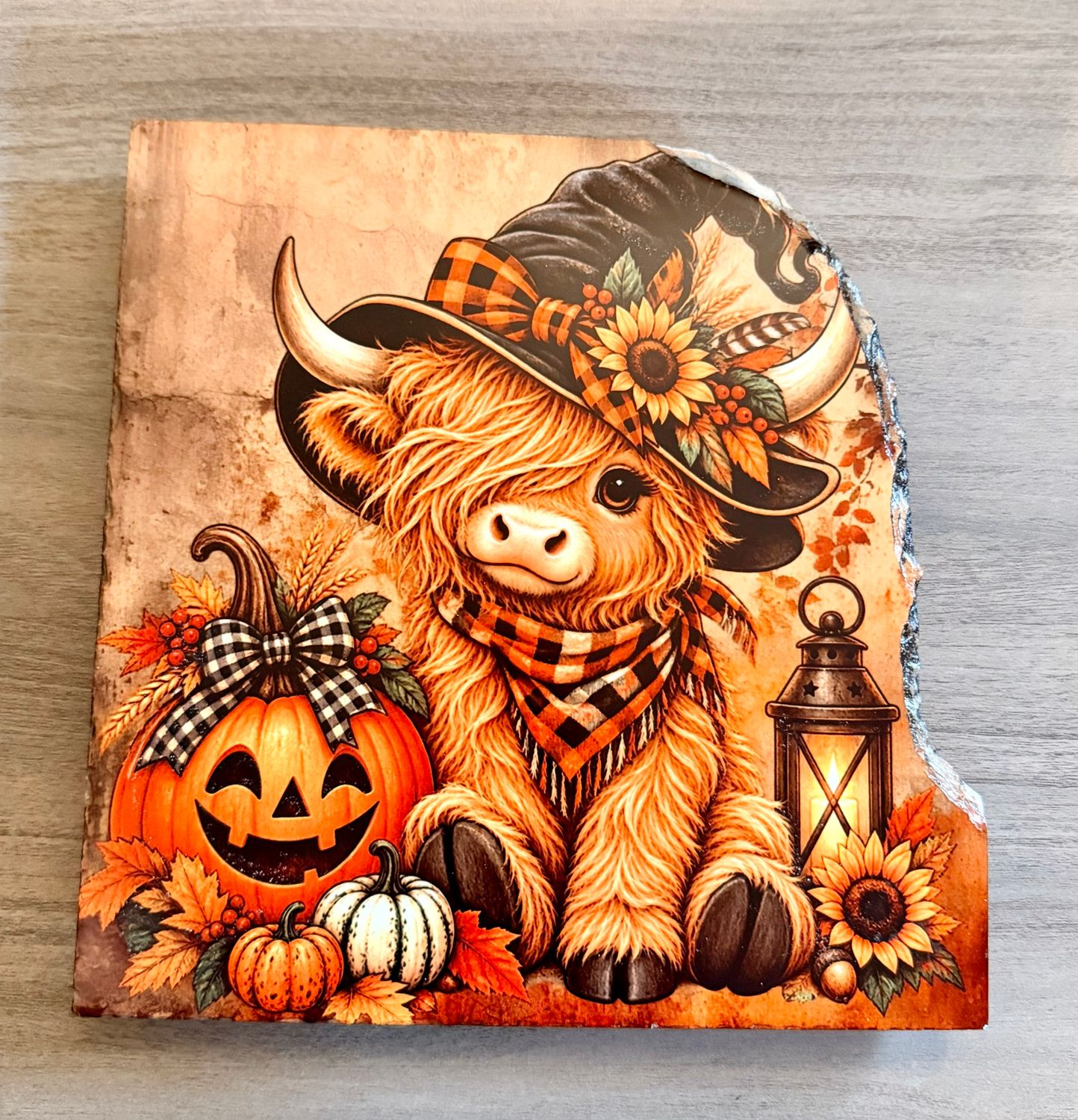 Highland Cow w/Pumpkin