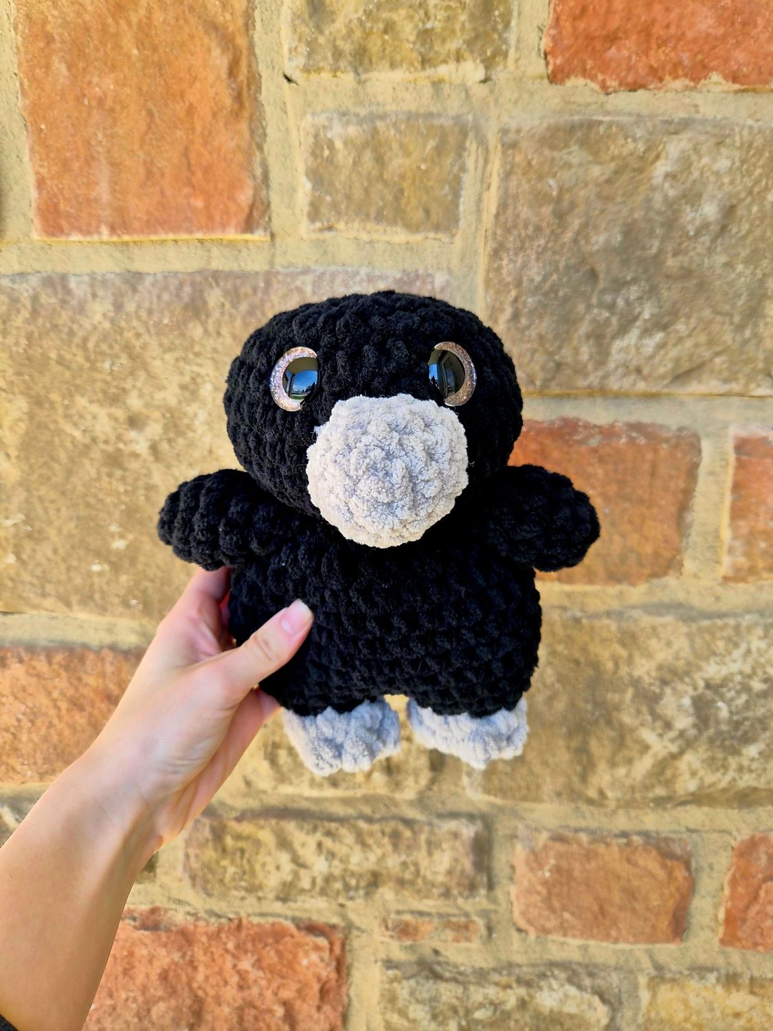 Creo the Crow