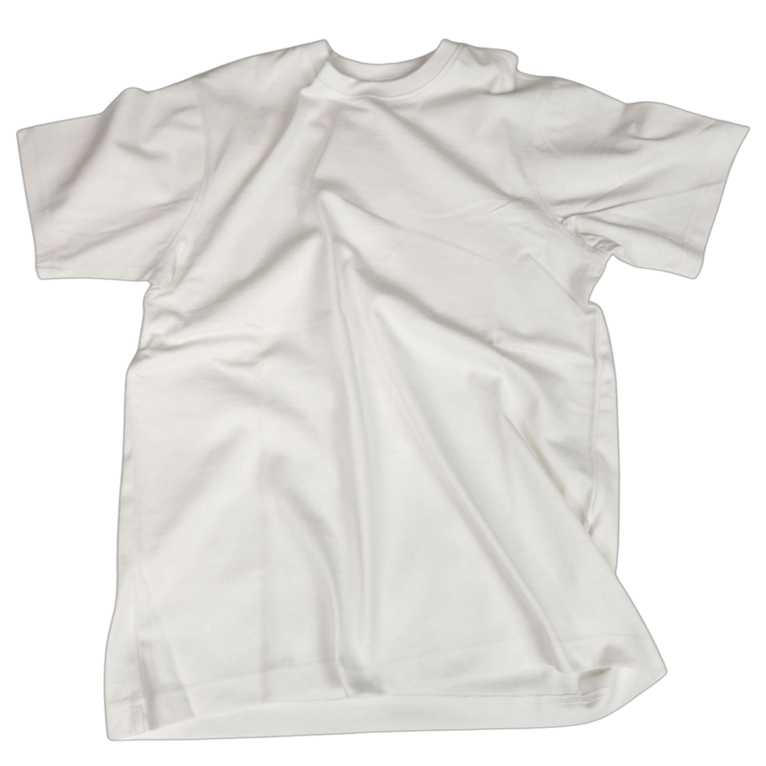 Premium Heavyweight T-Shirt (White)