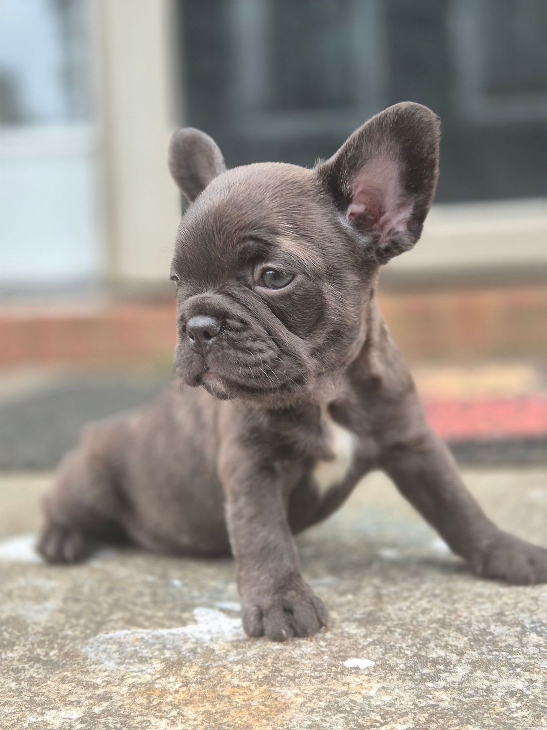 CoCo