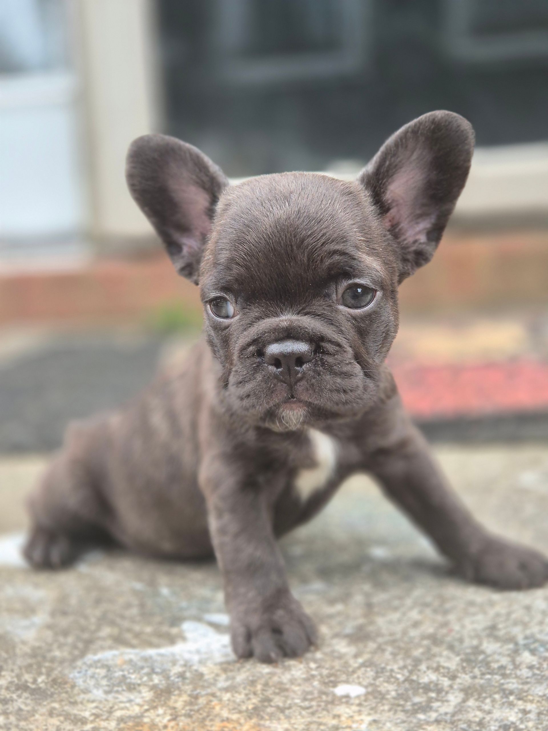 CoCo