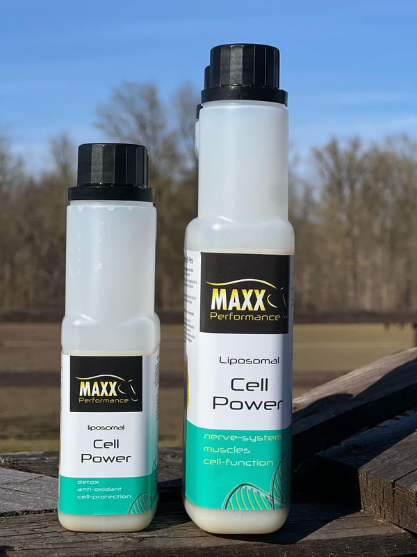 Liposomal Cell Power Liposomal Cell Power