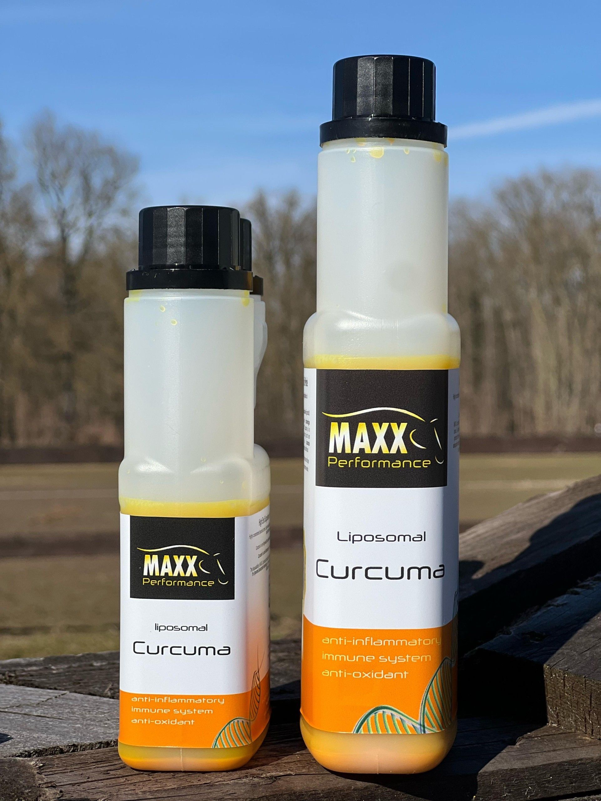 Liposomal Curcuma