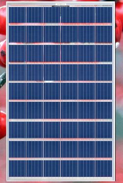 GruppoSTG - Modulo fotovoltaico trasparente 54 celle - 240W