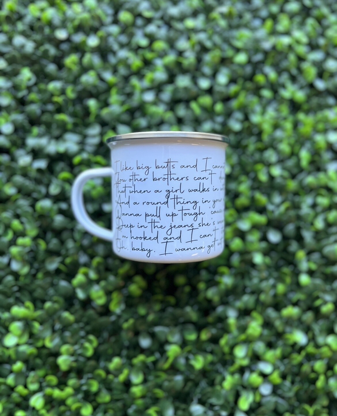 Lyrics Metal Mug, Lyrics: Baby Got Back