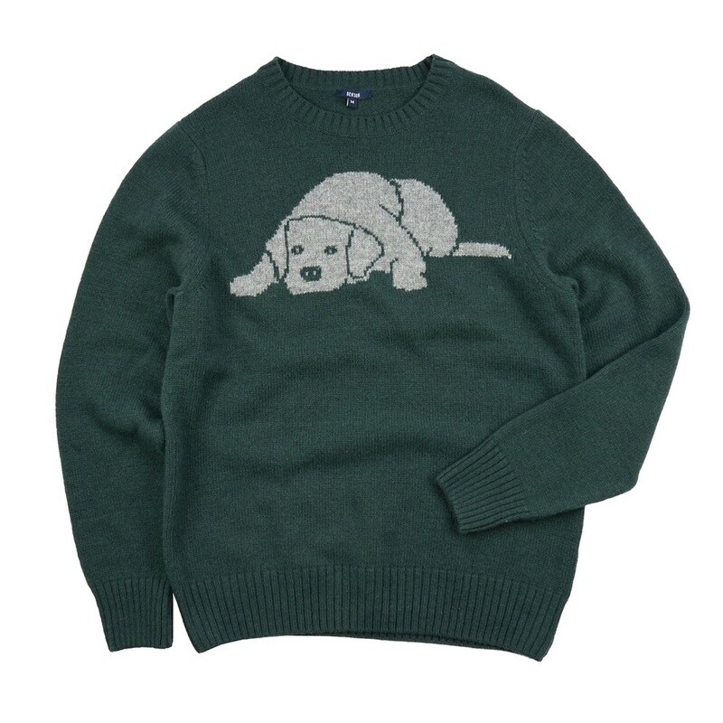 Benson Puppy Sweater
