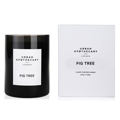 Fig Tree Candle