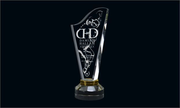 Harp with Gold Optic Crystal Award: 9-1/2"-105922