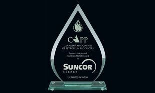 Teardrop Series Jade Glass Award: 7-1/4"-105992