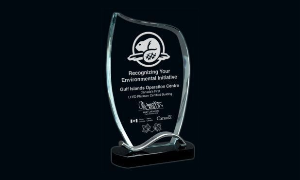 Amazon Glass Award: 4-3/4" x 7-3/4"-100786