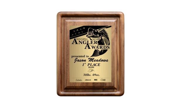 Genuine Walnut Gallery Bevel Plaque: 8" x 10"-100201
