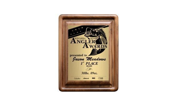 Genuine Walnut Gallery Bevel Plaque: 7" x 9"-100200