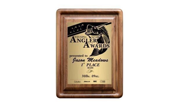 Genuine Walnut Gallery Bevel Plaque: 9" x 12"-100202
