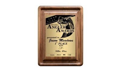 Genuine Walnut Gallery Bevel Plaque: 9" x 12"-100202