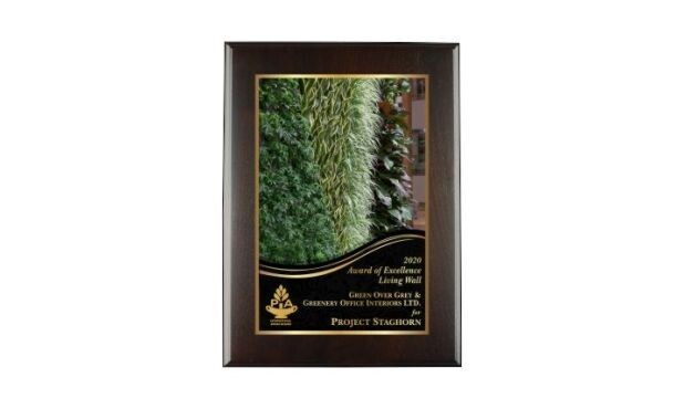 Solid Walnut Regular Edge Plaque with Cocoa Bean Finish: 11" x 15"-107455