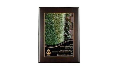 Solid Walnut Regular Edge Plaque with Cocoa Bean Finish: 11" x 15"-107455