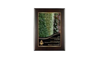 Solid Walnut Regular Edge Plaque with Cocoa Bean Finish: 9" x 12"-107454