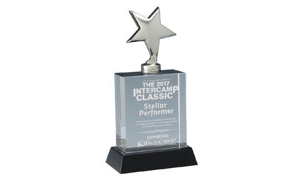 Polaris Crystal Metal Star Optic Crystal Award: 3" x 5-3/4"-105898