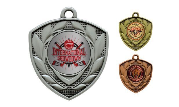 Defender Universal Insert Medallion: Antique Silver 2"-107151