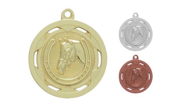 Strata Equestrian Medallion: Bright Gold 2"-107911