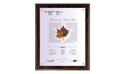 Cherrywood Laminate Certificate Holder: 10-1/2 x 13"-101810