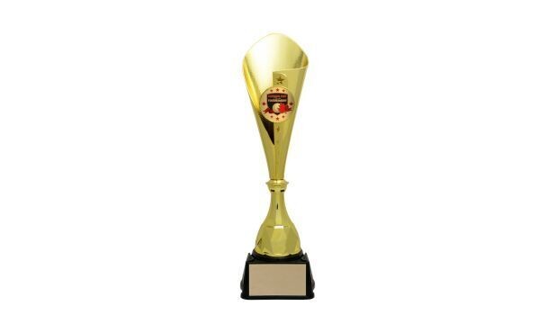 Gold Bruno Cup Trophy: 15-1/2"-100833