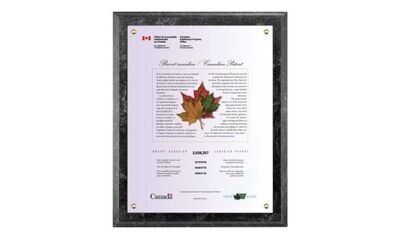 Diploma Plaques
